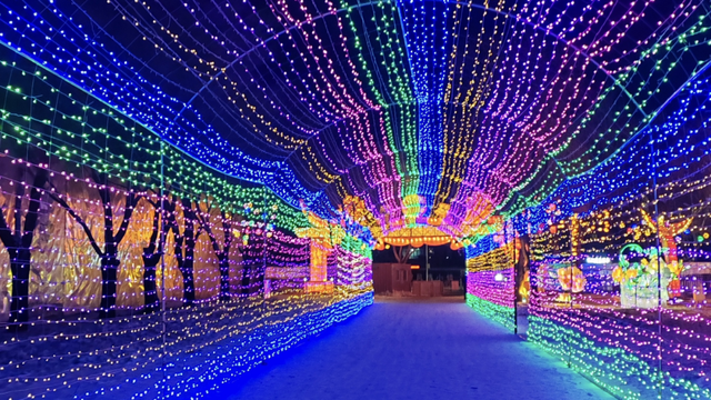 冰城闹元宵 | 来哈尔滨打卡人间烟火，共度团圆佳节