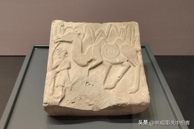 舞韵河湟：参观西宁市博物馆