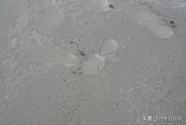 混凝土浇筑施工时突降暴雨怎么办？