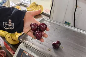 国产大樱桃上市，果梗青翠、颗颗新鲜图片