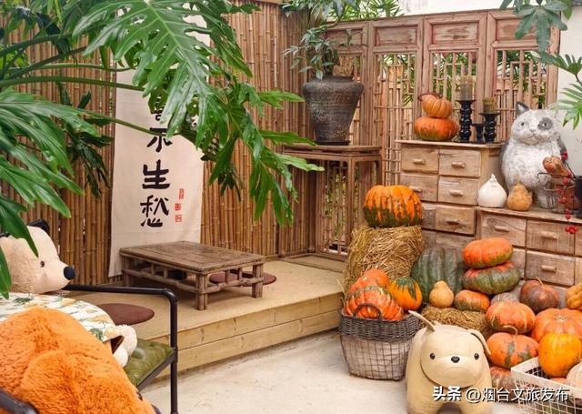 【乐游烟台】周末好去处丨全是花花！烟台神仙小店被花包围了