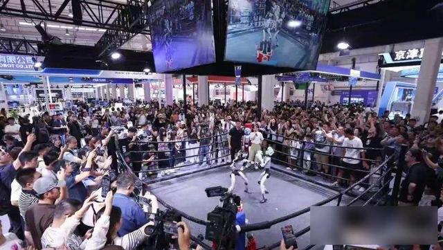 2025世界机器人大会，企业扎堆抢市场，人形机器人能火多久？