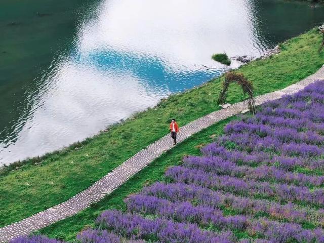 夏末初秋｜达古之绿是四季写给山河的散文诗