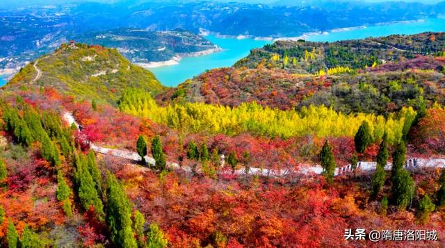 “双节”同庆,快乐翻倍!洛阳花式文旅大餐已备齐!