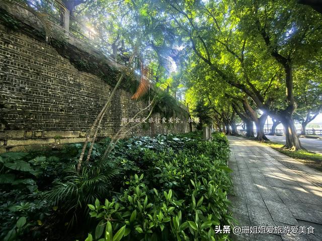 惠州“最后”的古城墙，完好的300多米，榕树穿墙而生，像留城魂