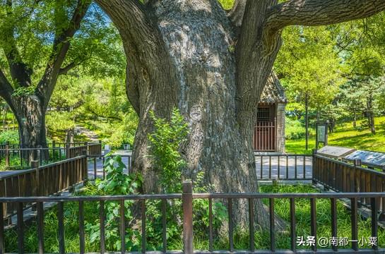 山东东营，六大古村