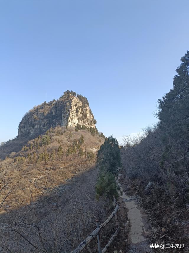 无为在歧路，免费仰天山