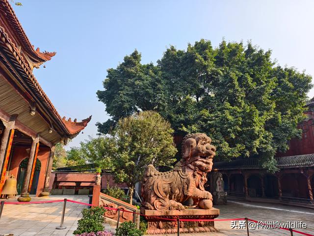 四川行(75)广汉②金雁湖公园·黑塔街·龙居寺