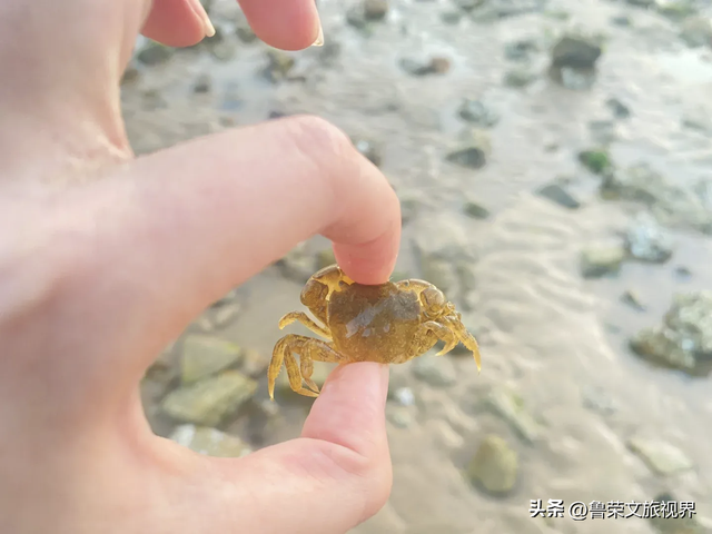 日照：黄海之滨的晨光与温柔