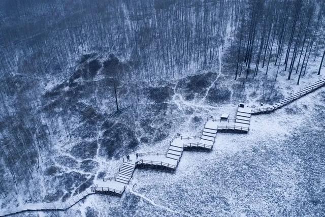 属马、姓马看过来！“马”住呼伦贝尔专属福利