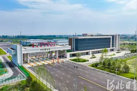 同比增长71.99%！雄安新区一季度外贸进出口交出亮眼“成绩单”图片