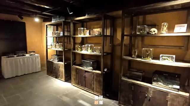 佛坪新增一个秦岭秘境科普馆→