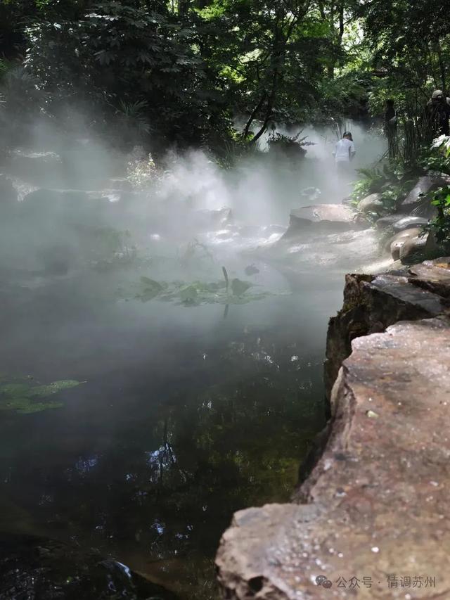 千年鹤涧，苏州人的夏日纳凉秘境