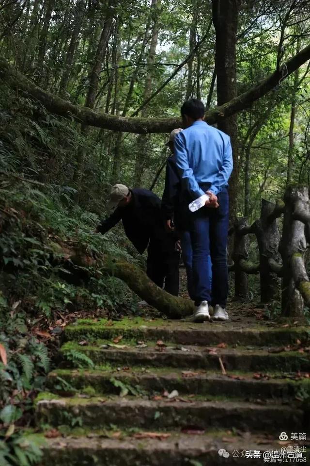 远上乌岩岭上斜,白云生处白云尖!温州这处秋日美景值得一去!