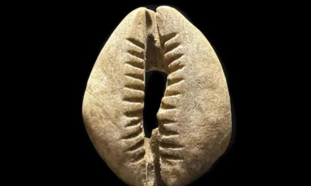 古代贝壳=钱？为啥没人去海边捡到暴富，原因太现实