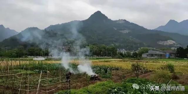 楠溪江这个冷门的秀美村庄,秘藏着一条风光旖旎的小众古道