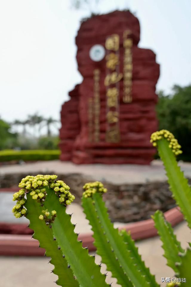 【跟着旅徒游广西】之三十四:涠洲岛| 海洋运动公园+猪仔岭……