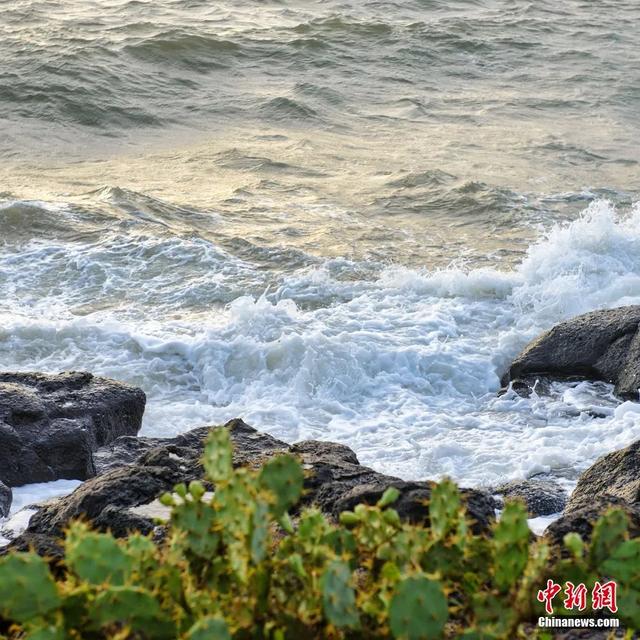 人这一辈子，一定要去一趟海南看海玩海🤩