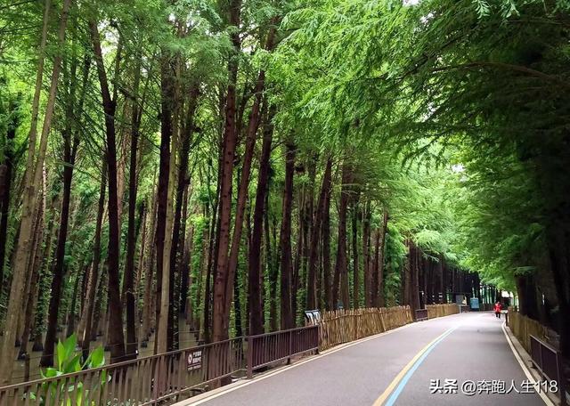 奔向雪域高原，滇藏行一:从钦州到昆明，再到楚雄