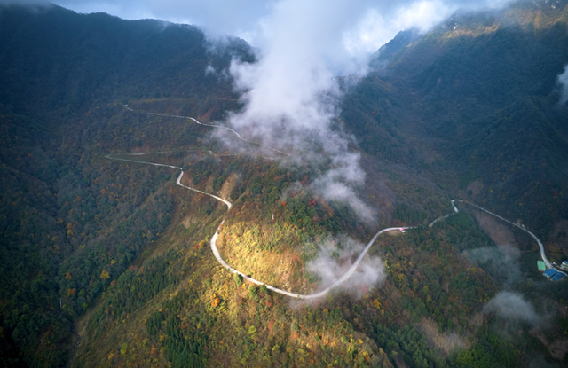 走不出这画了，我已被平武的彩林迷倒！