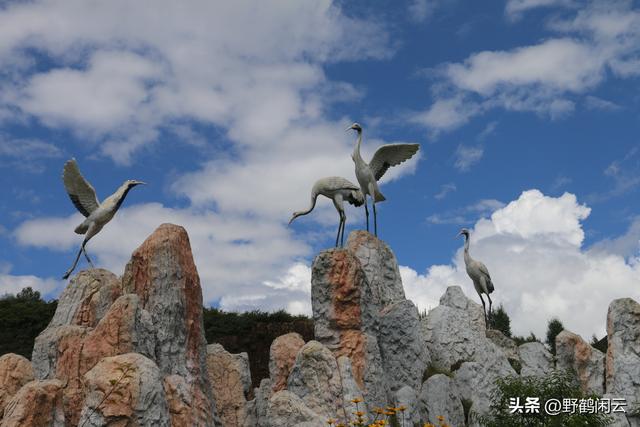 探幽秘境甘南，开启心灵净化之旅之四