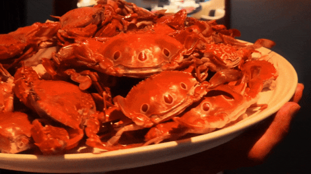 一条“极速”公路，这样改写霞浦山海渔村的命运