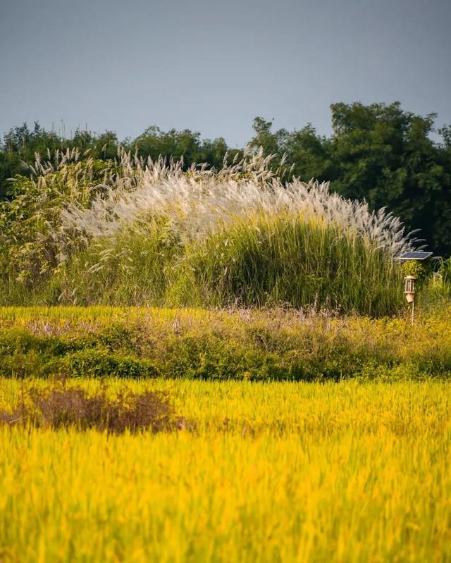 拿好这份初秋“寻色地图”，骑行解锁韶关的限定美景