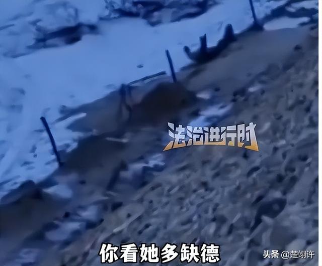 女子开车碾压草场后续：扬言撞死牧民	，真实身份被扒，公司被牵连