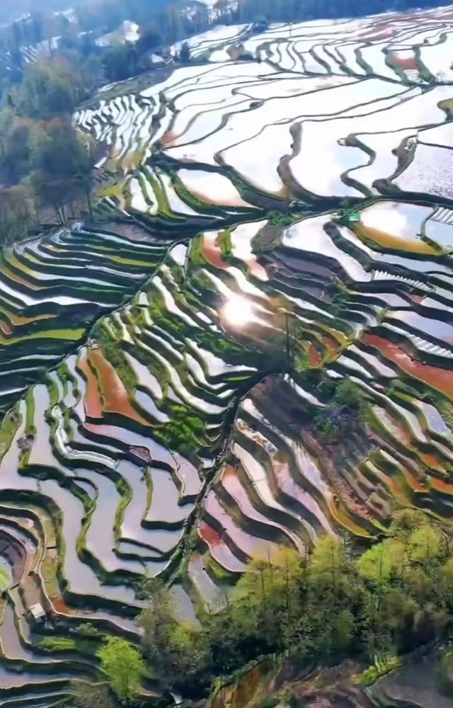 镜映千年元阳哈尼梯田