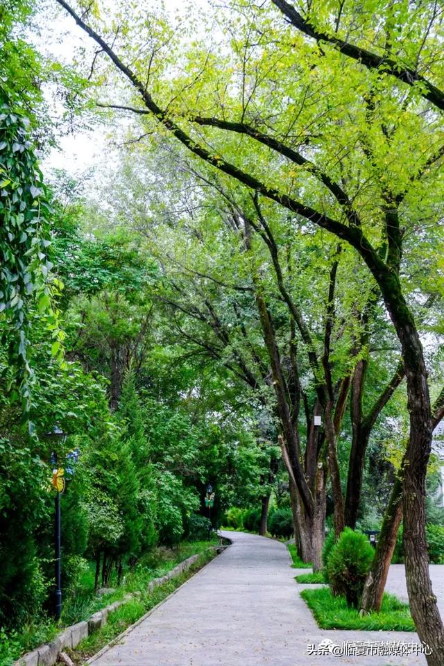 飞阅花都④丨漫步东郊公园 邂逅秋日风光 静享“天然氧吧”