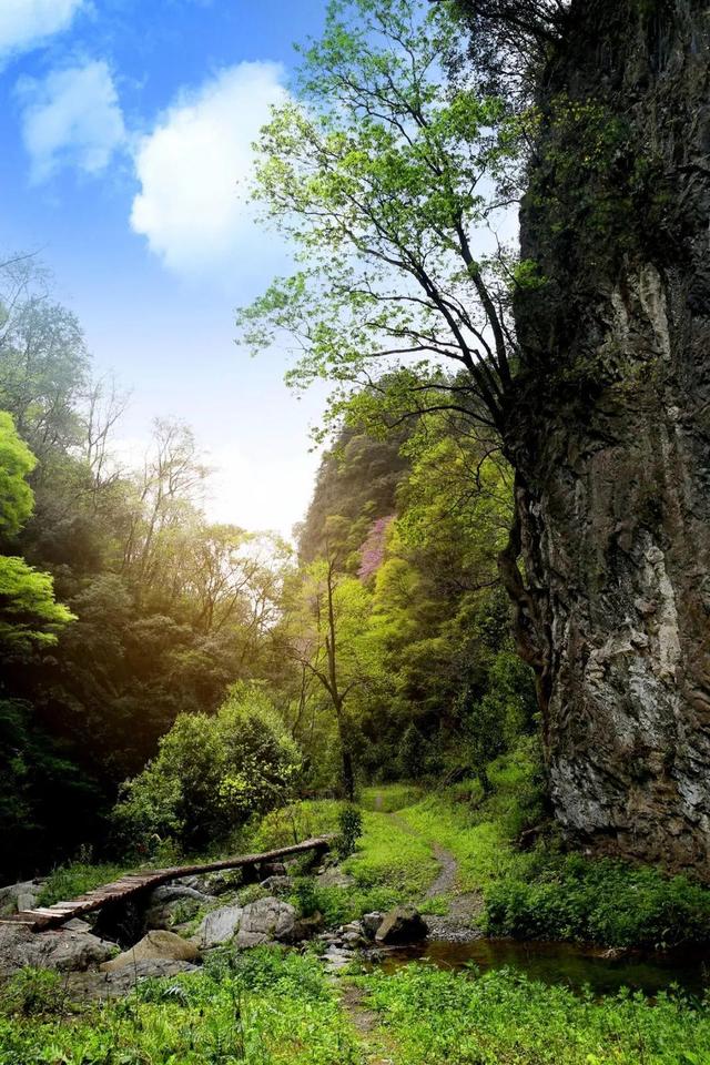 肖娴：马蹄和茶记住的古道