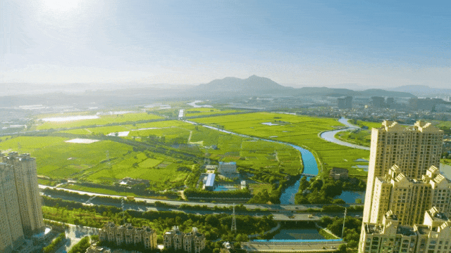 元旦泉州100+场活动 和你一起奔赴2026！