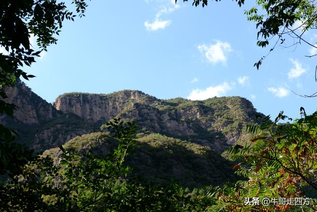 延庆应梦寺（五）：山巅极目收千嶂，林海听风涤尘心
