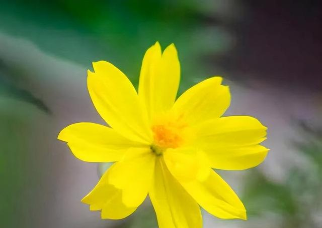 心理学：男女交往，为什么要远离“偏执型人格障碍”的人？