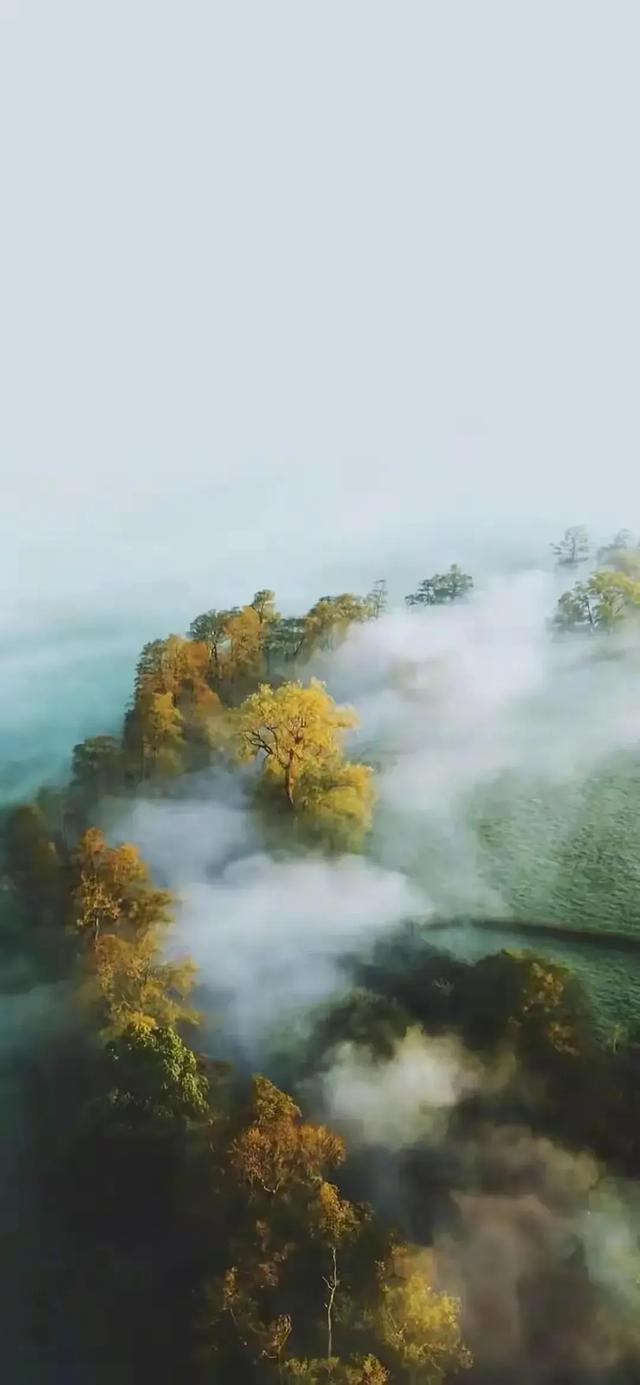手机壁纸精美图片（99）