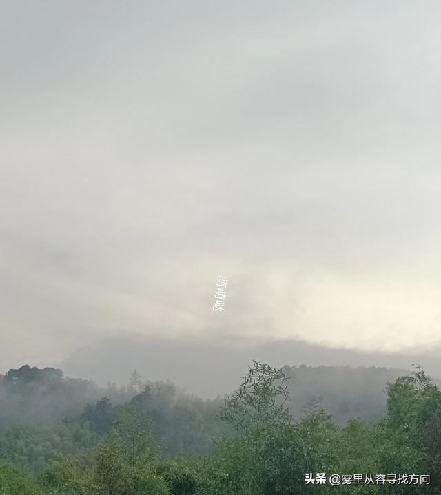 雾中寻路 亦是寻心