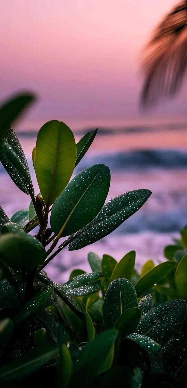 #风景 #风景图 #美景 #好风景