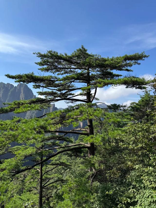 徒步三山五岳：安徽黄山！
