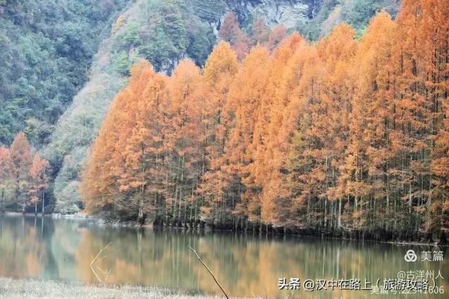 龙池秋色惹人醉