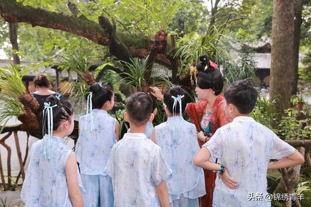 周末去草堂 赴一场兰花盛宴