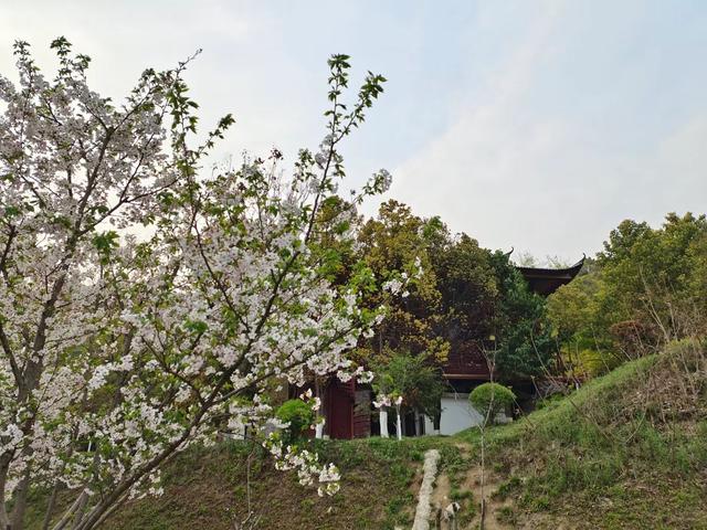 屈原故里（2021.3.15 宜昌·秭归）