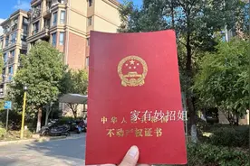 房贷越久越吃亏？很多人根本不懂提前还款技巧！图片