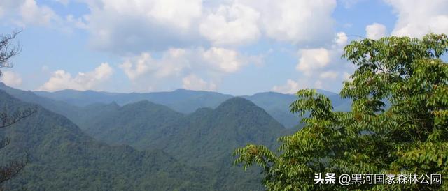 秋天的第一场旅行，在黑河给你安排！