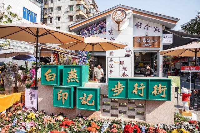 斥资500万！佛山30年花鸟老街，摇身一变成文艺新地标