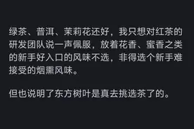 东方树叶在懂茶的人眼中，怎么评价？评论区引起千万网友共鸣！图片