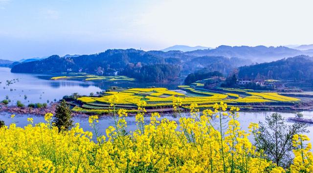 2026陕西“三秦四季·相约汉中”最美油菜花海推介发布会在西安举行