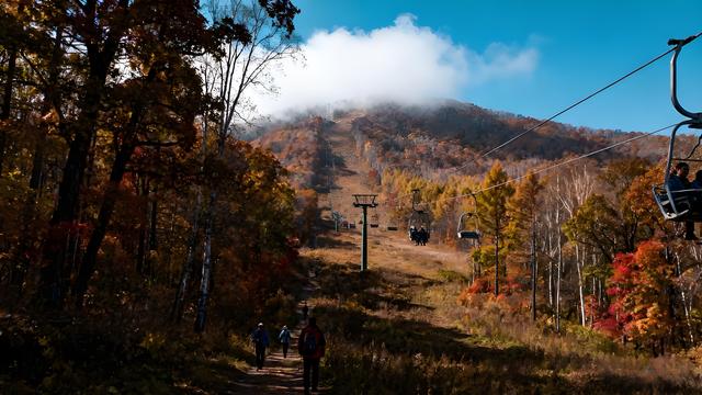 赤橙金翠漫山赋，异域风情一城诗 —— 哈尔滨秋日漫游纪行