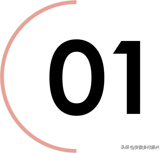 老登们，集体不行了