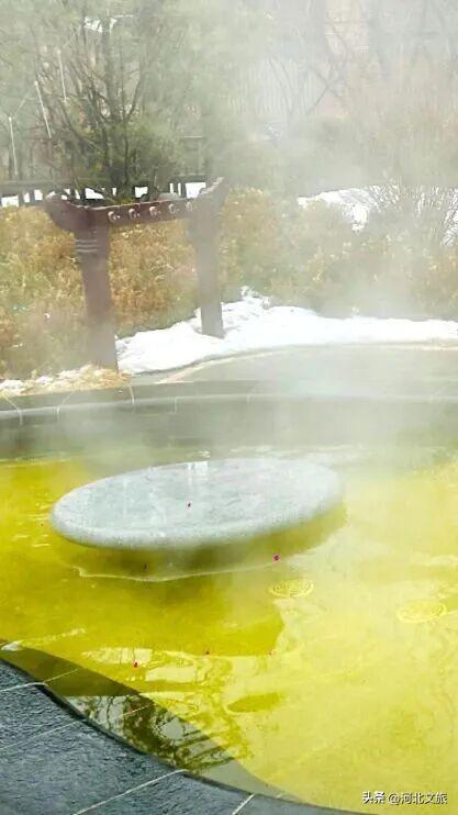 免费观看！零门槛邂逅衡水湖秋日极致浪漫