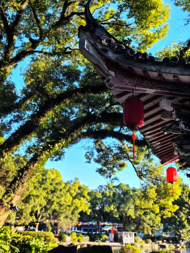 桂林：邂逅榕湖别样情！